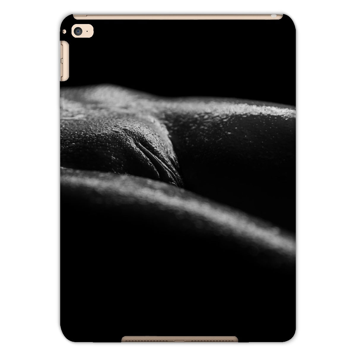 Bodyscape 4 Tablet Cases