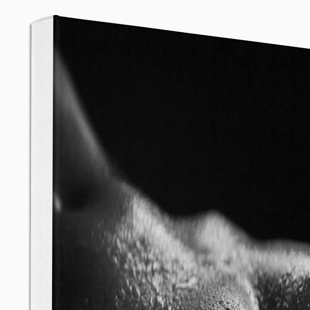 Bodyscape 4 Eco Canvas