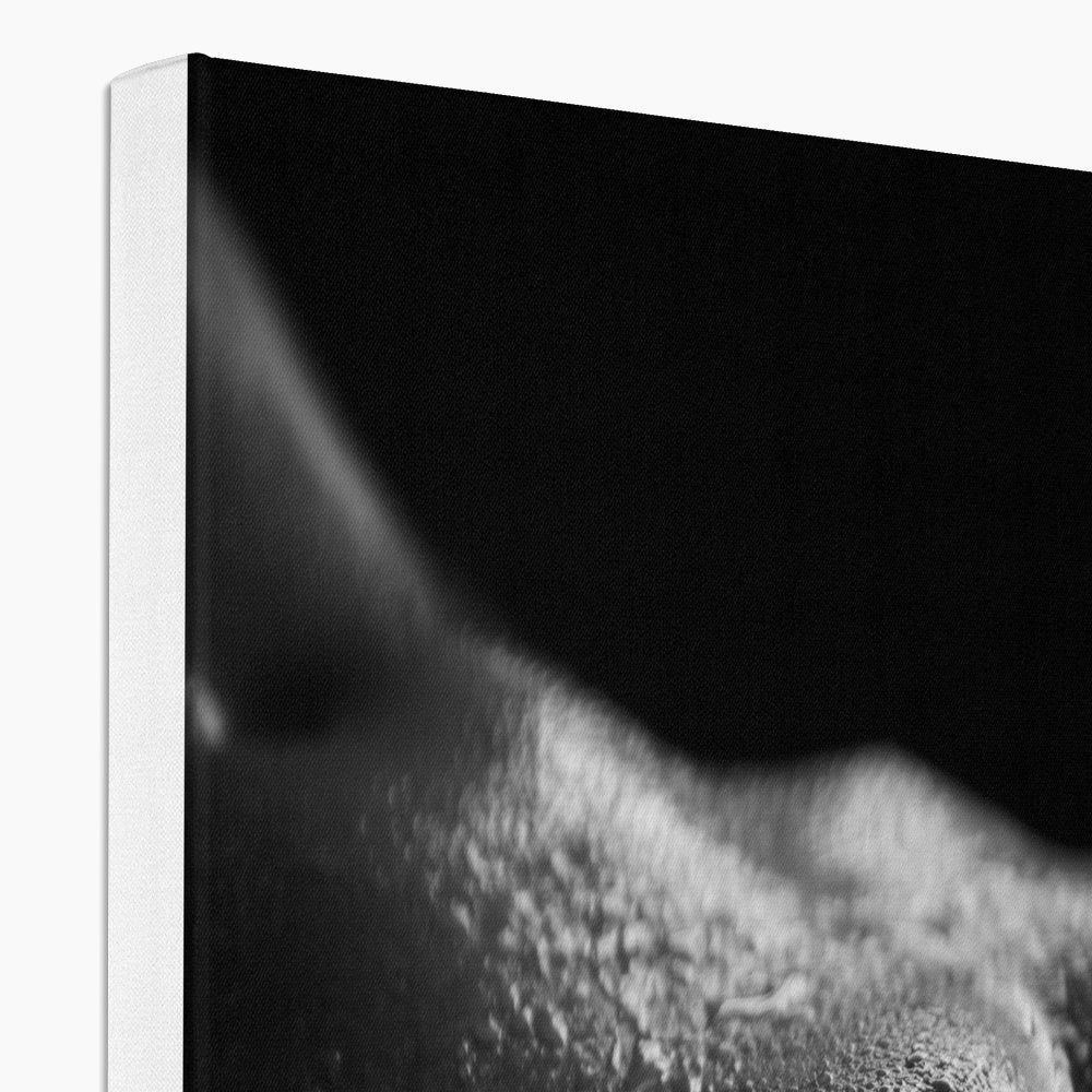 Bodyscape 4 Canvas