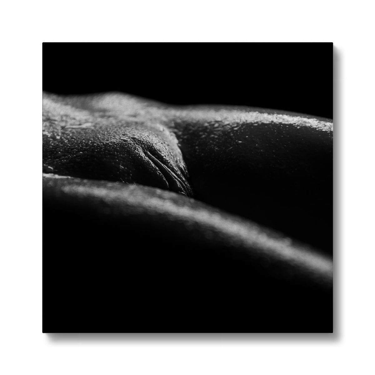 Bodyscape 4 Eco Canvas