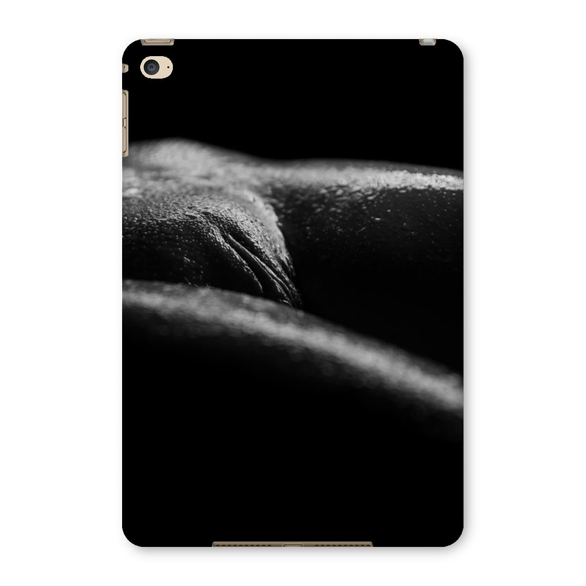 Bodyscape 4 Tablet Cases