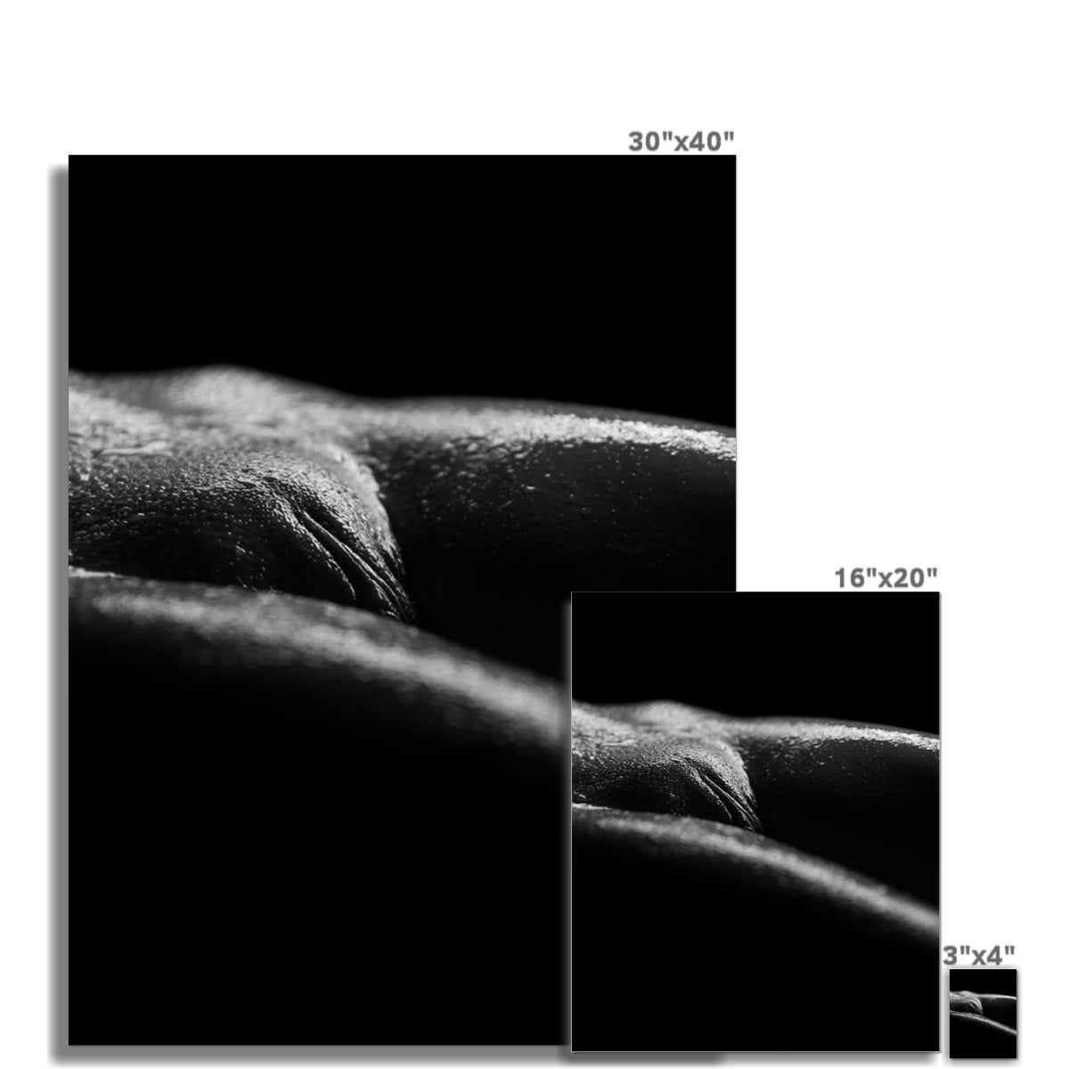 Bodyscape 4 C-Type Print