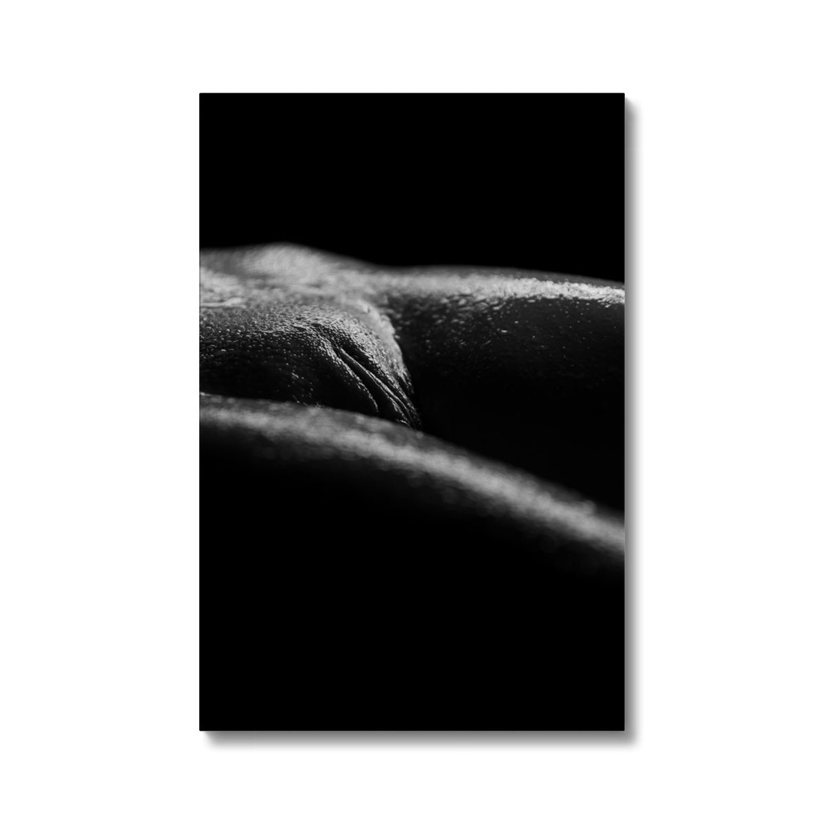 Bodyscape 4 Eco Canvas