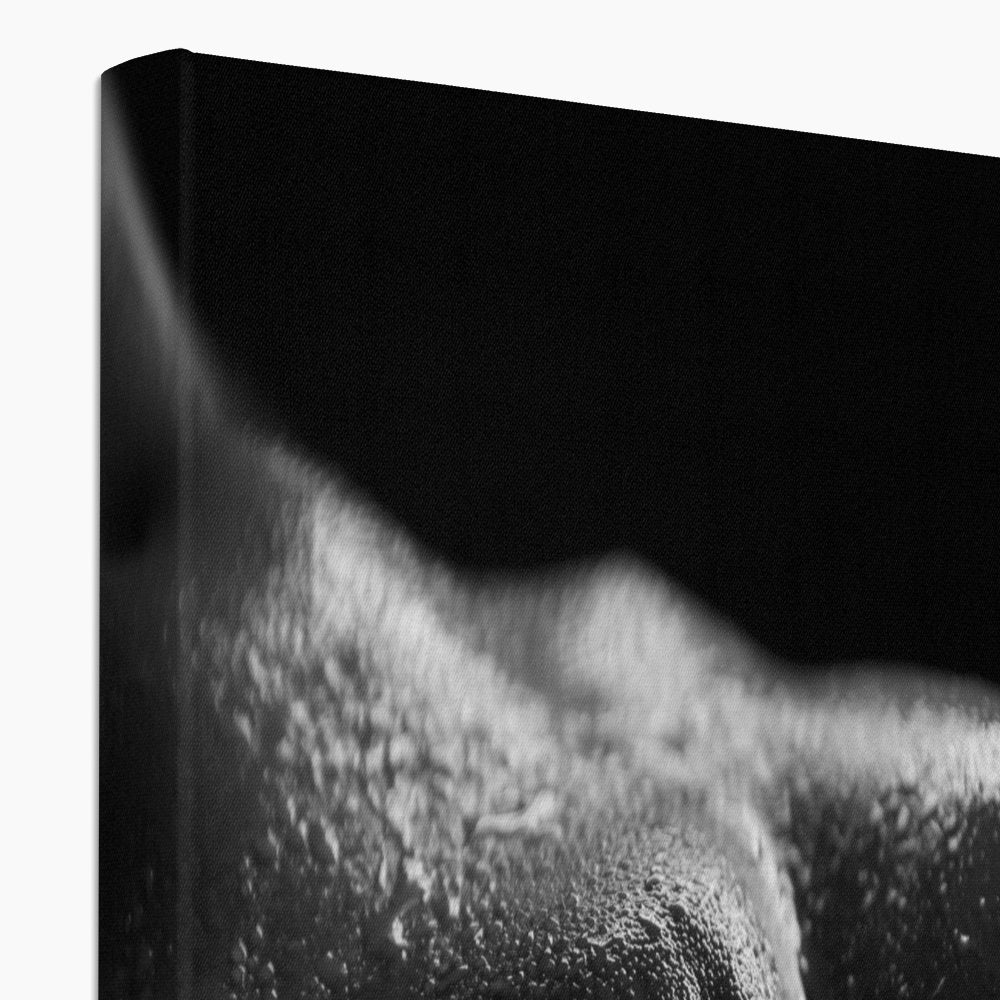 Bodyscape 4 Eco Canvas