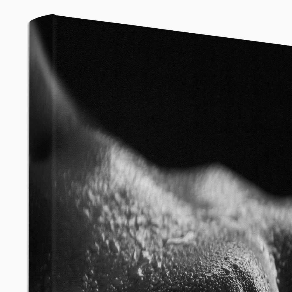 Bodyscape 4 Canvas