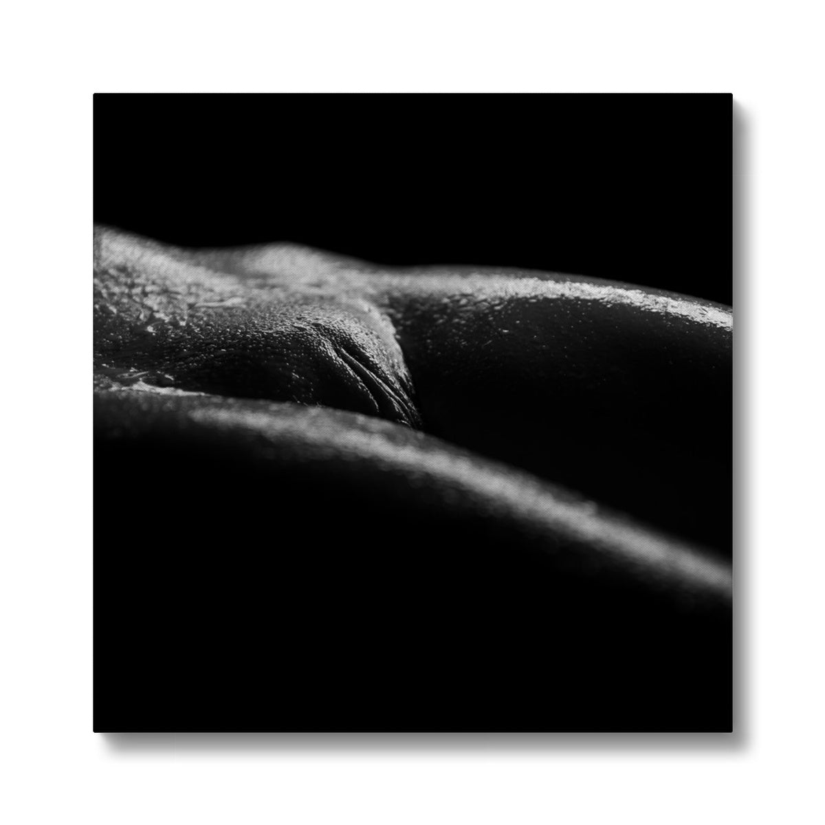 Bodyscape 4 Eco Canvas