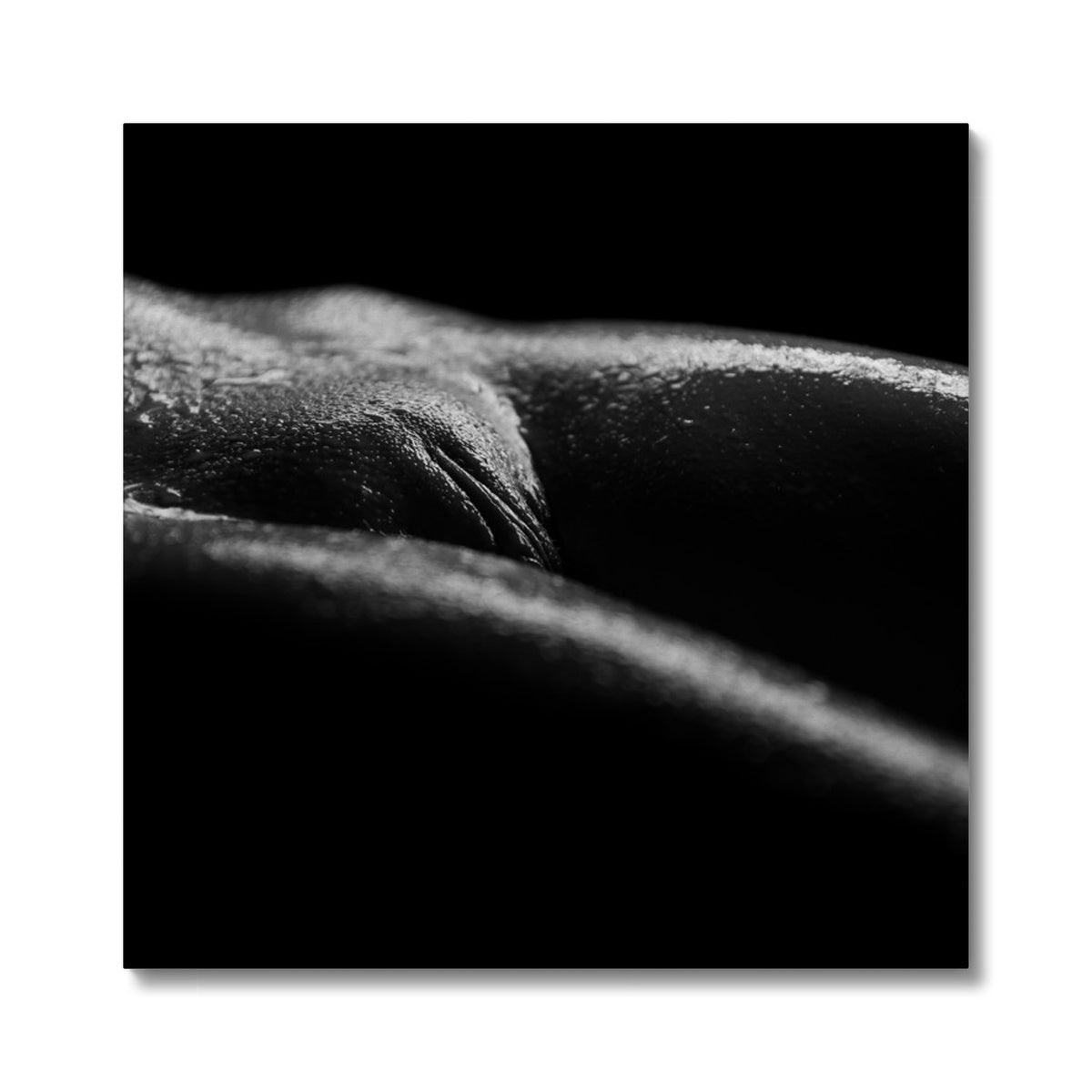 Bodyscape 4 Canvas