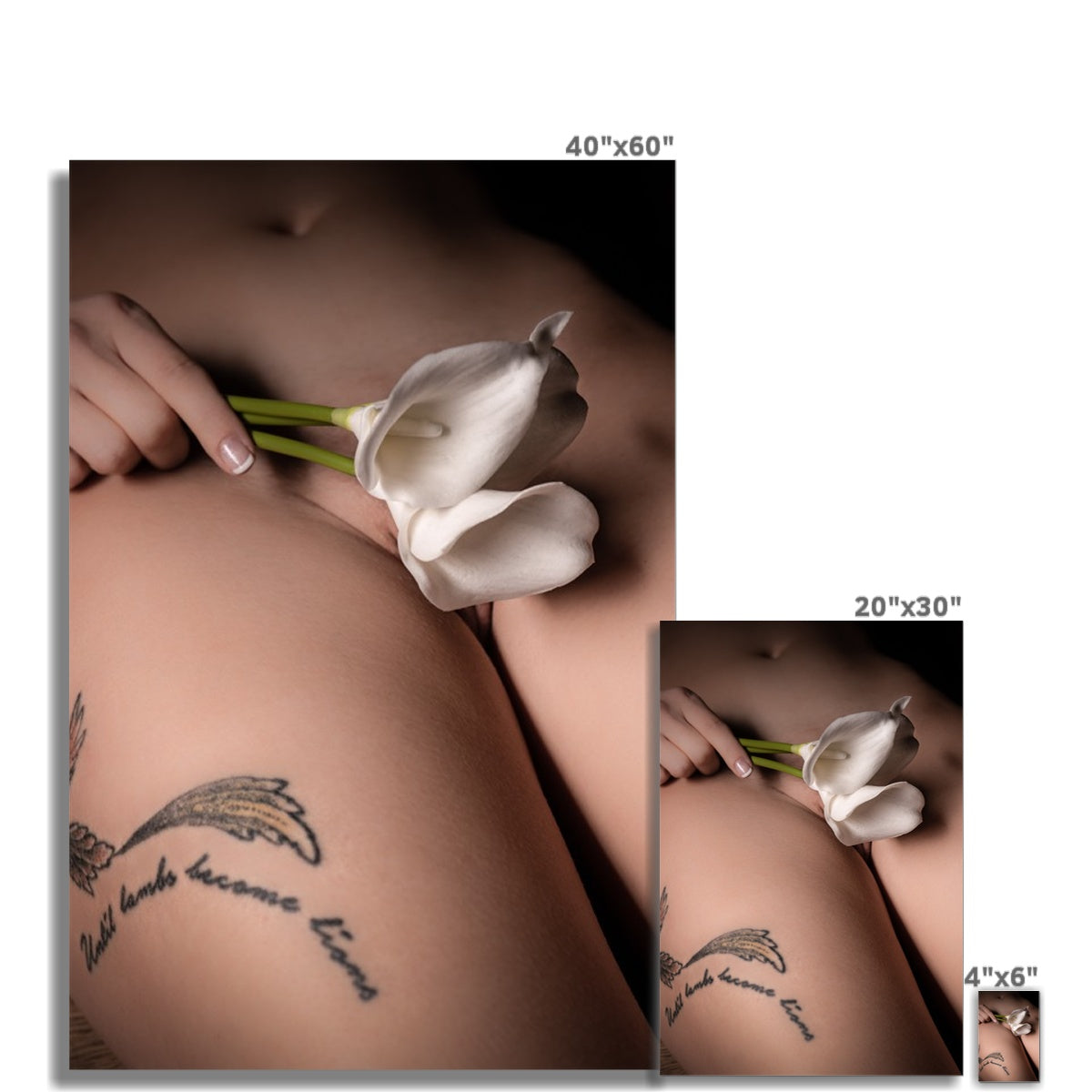 Lilies Photo Art Print