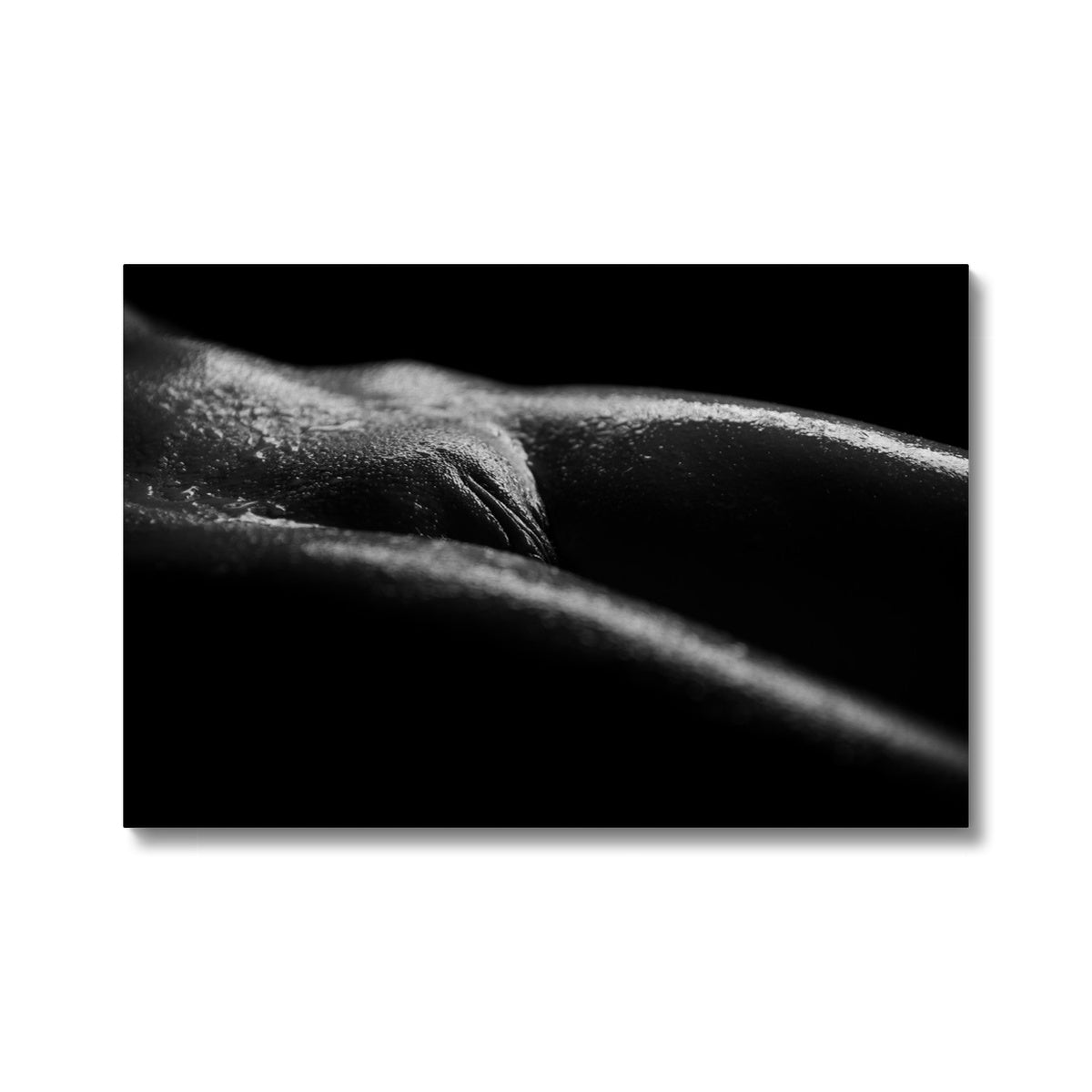 Bodyscape 4 Eco Canvas