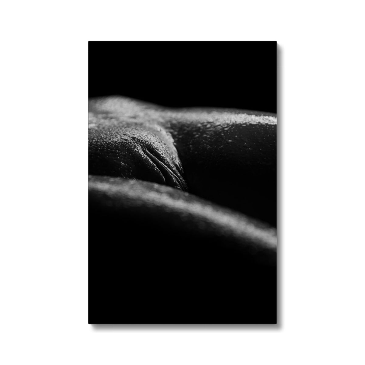 Bodyscape 4 Eco Canvas